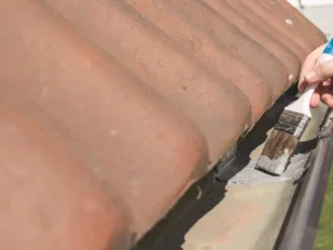 sealing & repairing roofs and gutters